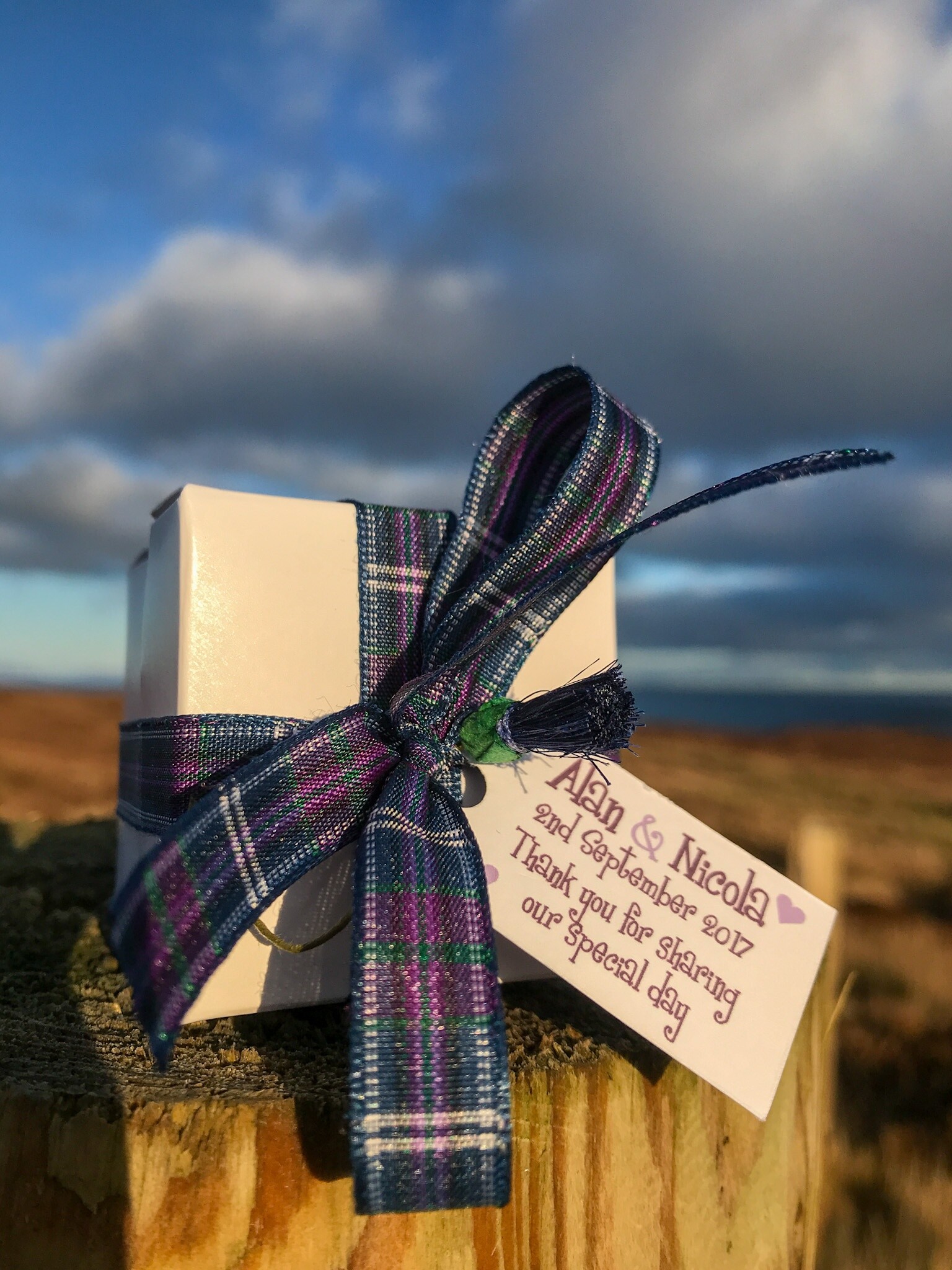 Classic Wedding Favour Boxes Lidded Scottish Tartan Gift Boxes 