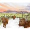 Highland Cows in Elgol, Isle of Skye Greetings Card by Jazz Buchanan