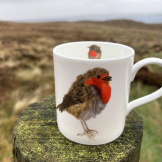 Robin China Mug