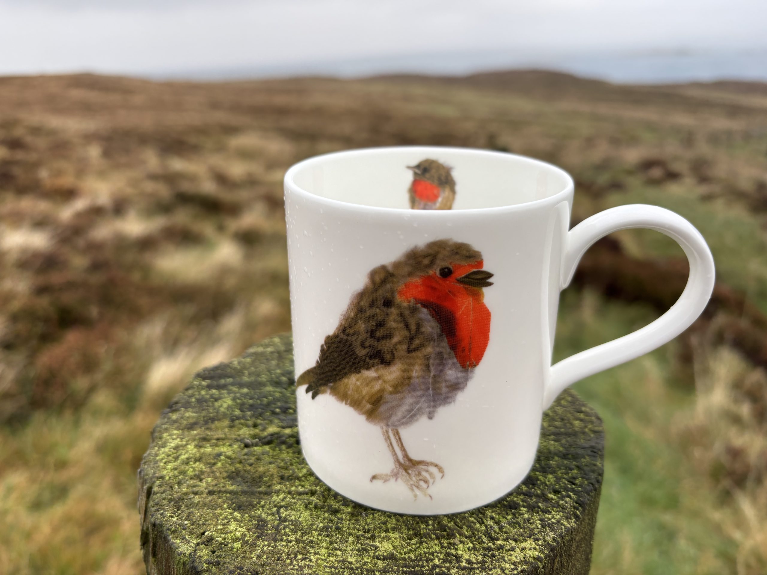 Robin China Mug