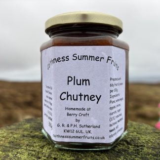 Plum Chutney from Caithness Summer Fruits 340g