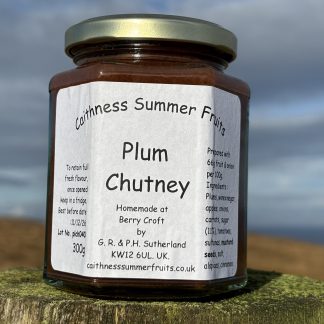 Plum Chutney from Caithness Summer Fruits 340g