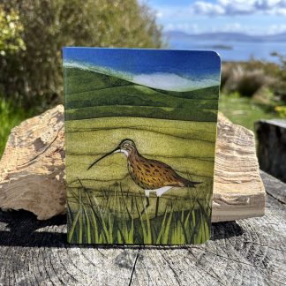 Curlew Notebook
