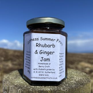 Rhubarb and Date Chutney from Caithness Summer Fruits